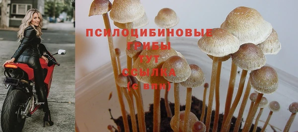 трава Бугульма